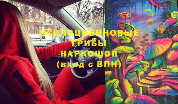 прущая мука Арсеньев